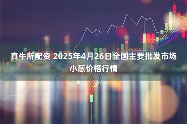 真牛所配资 2025年4月26日全国主要批发市场小葱价格行情