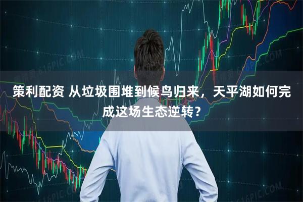 策利配资 从垃圾围堆到候鸟归来，天平湖如何完成这场生态逆转？