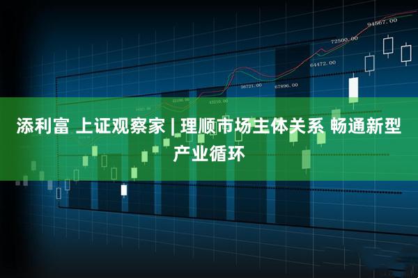 添利富 上证观察家 | 理顺市场主体关系 畅通新型产业循环