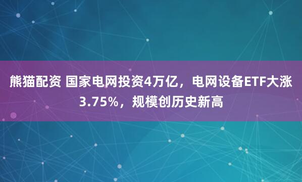 熊猫配资 国家电网投资4万亿，电网设备ETF大涨3.75%，规模创历史新高